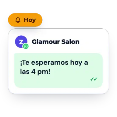 Recordatorio automático por WhatsApp el día de la cita